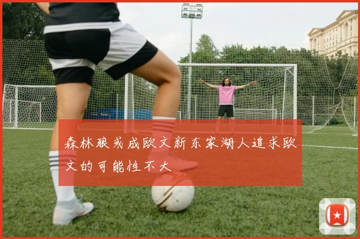 森林狼或成欧文新东家湖人追求欧文的可能性不大