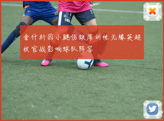 舍什科因小腿伤缺席训练无缘英超收官战影响球队阵容